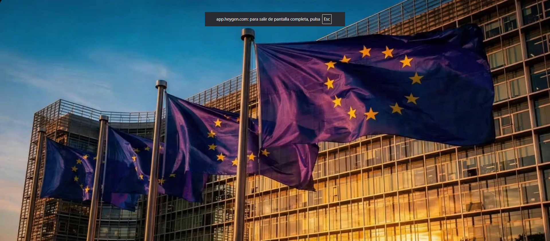 European Union flags